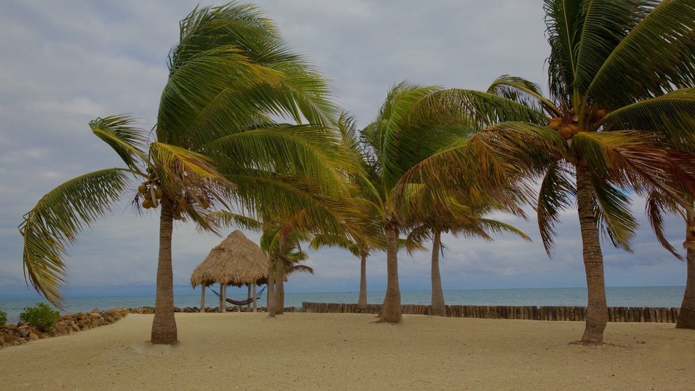Royal Belize Ξενοδοχείο Thatch Caye Εξωτερικό φωτογραφία