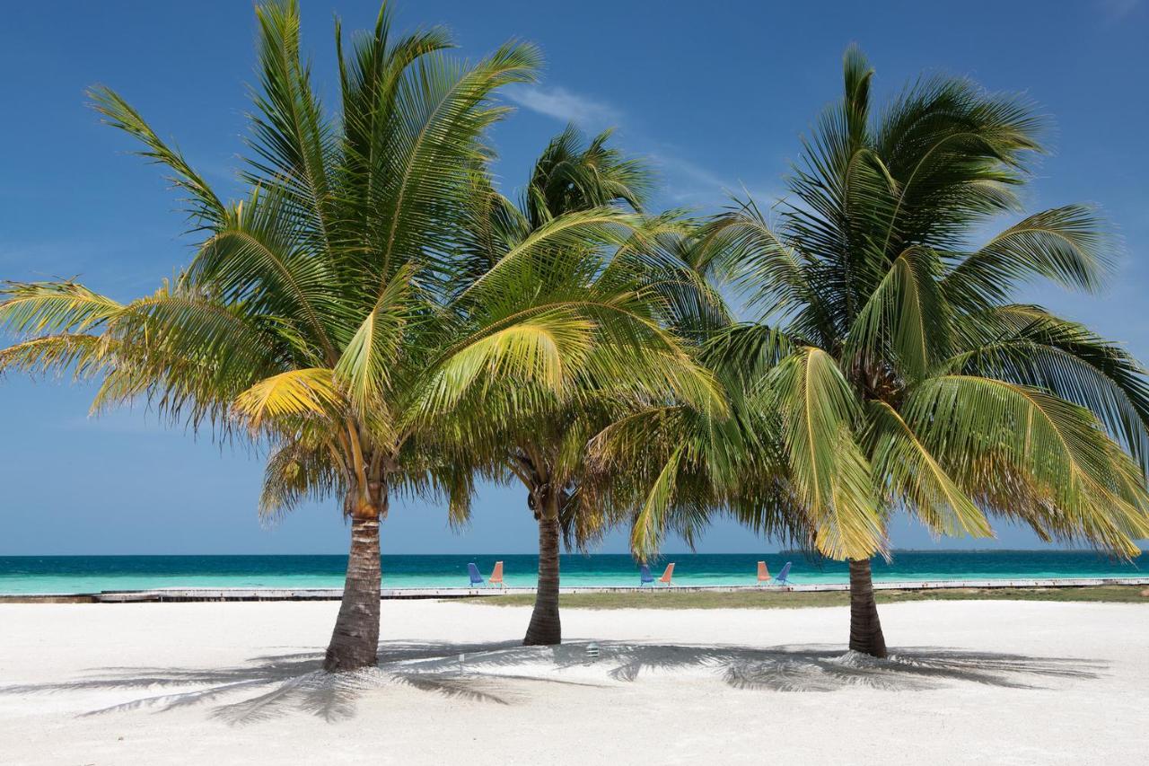 Royal Belize Ξενοδοχείο Thatch Caye Εξωτερικό φωτογραφία